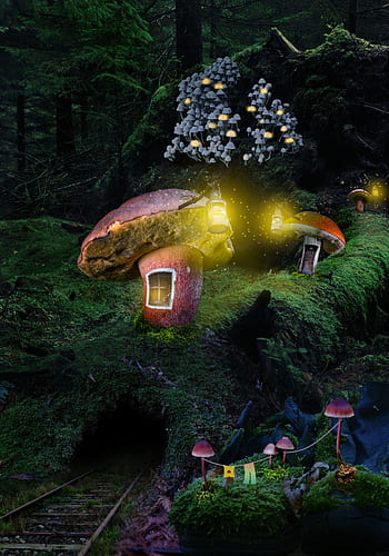 forest, village, inhabited, mushrooms, night, illuminated, lights, rail track, fairy tales, fantasy, composing