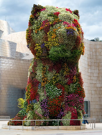 zelená, vícebarevný, medvědí květy, zeď, Pes, jeff koons, guggenheim, muzeum, květiny, Zajímavosti, architektura