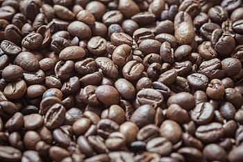 tutup, Biji Kopi, Close Up, kacang, coklat, kafe, kopi, panggang, kafein, minum, latar belakang