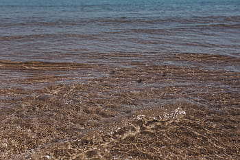 波、 海、 砂浜、 ビーチ、 ソフト、 砂、 水、 水景、 海景、 自然、 夏
