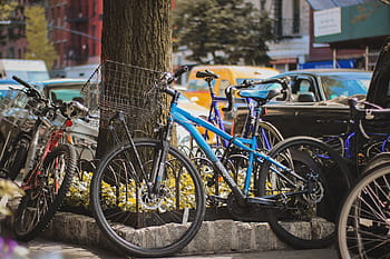 blue bicycle lot, bike, bicycle, parking, outside, tree, plant, vehicle