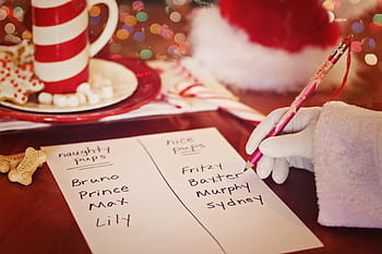 person, wearing, white, gloves, writing, printer paper, santa, list, christmas, dogs, pups
