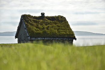 kamenný dům, Dům, trávníková střecha, zelená střecha, ochrany klimatu, tradice, historicky, starý, louka, moře, krajina