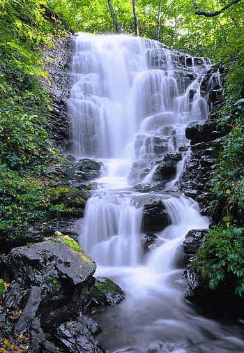 風景、 小さな滝、 しらかみさんち、 世界遺産地域、 日本