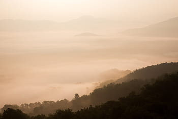 sea of clouds, high, rise, mountain, fog, sky, clouds, mountains, trees, nature, sunset