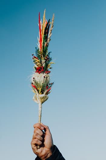 pascua, cristiana, iglesia, celebración, folk, polaco, Polonia, religión, tradición, tradicional, niedziela palmowa