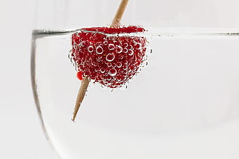 raspberry, clear, liquid, cocktail, drink, glass, alcohol, beverage, bar, liquor, ice