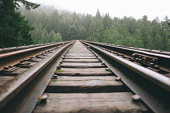 treno ferroviario, mezzo, foresta, nero, rotaia, modo, foto, giorno, rotaie, Ferrovia, mezzi di trasporto
