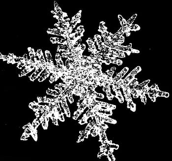 vločka, sníh, zimní, vločky, sněhové vločky, Vánoce, Dovolená, ornament, sněhová vločka, led, pozadí