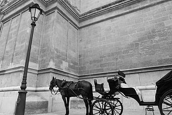 horse, carriage, transport, vintage, lamp post, city, building, wall, stones, concrete, black and white