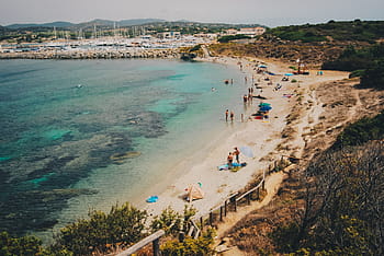 mennesker, gå, strandlinjen, dagtid, hav, vann, grønn, planter, utendørs, utsikt, Strand