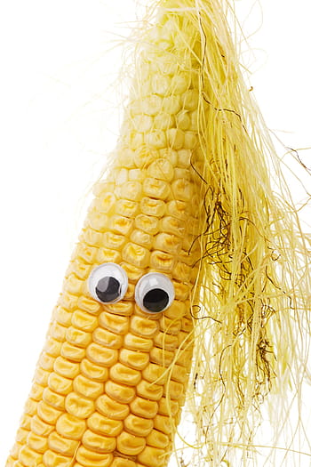 character, corn, corncob, cute, diet, eye, face, food, funny, happy, isolated