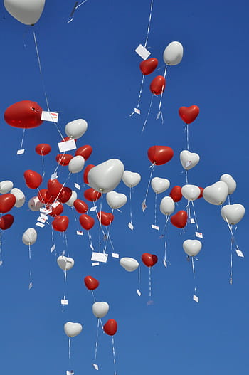 nebe, balóny, modrý, balón, oslava, velká skupina objektů, balon helia, společenská akce