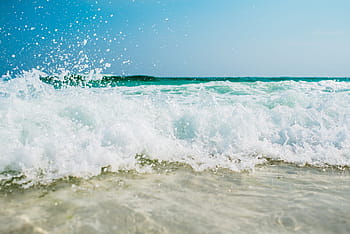 green, white, trees painting, water wave photography, beach, foam, motion, ocean, sea, seascape, seashore