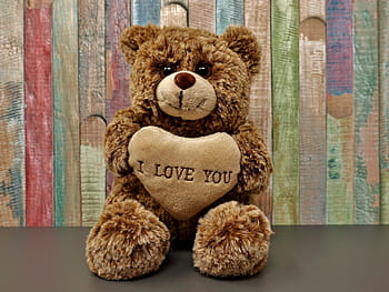 brown, bear, plush, toy, teddy, love, romance, sweet, cute, soft toy, stuffed animal