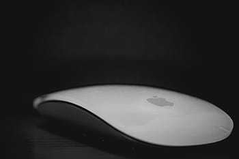 jablko kouzelná myš, šedá, povrch, zavřít, fotografie, jablko, magie, myš, podnikání, technologie, Černý a bílý