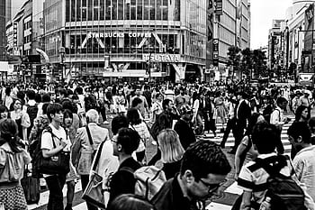 japan, tokyo, shibuya, city, travel, human, quantitative, junction, crowd, shopping, road