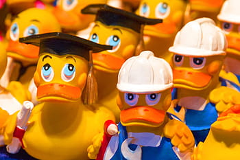 bath duck, rubber duckies, duck, plastic, rubber duck, quietscheente, toys, toy duck, fun bathing, fun, eyes