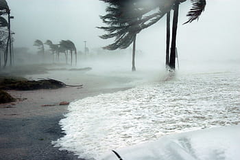 θαλάσσιο κύμα, καρύδα, ημέρα, δυτικό κλειδί, florida, τυφώνας, dennis, καταιγίδα, μέγα κύμα, νερό, βροχή