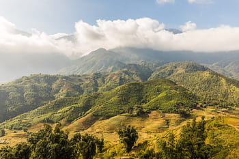 aerial, photography, green, mountains, sapa, vietnam, rice fields, rice, rice terraces, terrace fields, nature