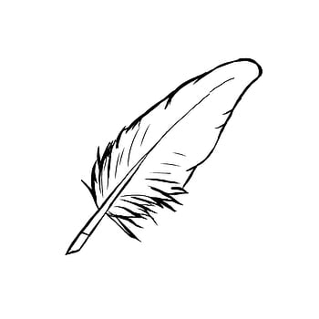 clip art, quill pen, writer, old, quill, plume, calligraphy, feather, black and white, handwriting, write