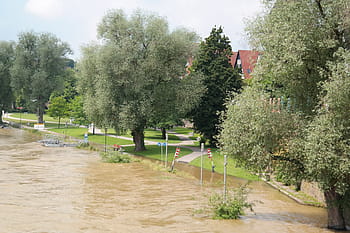 verde, alberi, accanto, fiume, giorno, fotografia di paesaggio, acqua alta, strada, bloccato, danno, danno da inondazione