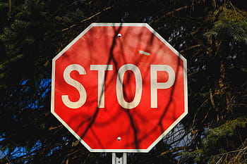 punainen, valkoinen, katumerkki, Stop, merkki, liikennemerkki, varoitusmerkki, teksti, viestintä, ei ihmisiä, ulkona