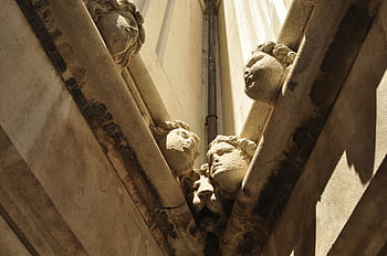 detail, cathedral, church, italy, angel, lion