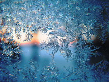 close, snowflakes, frost, winter, morning, snow, season, white, holiday, christmas, xmas