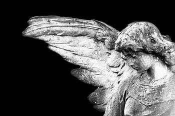 statua di angelo, analizzare, cercare, guardare, verso il basso, angelo, angelico, sfondo, nero, cristiano, santo, isolato, pietra