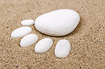 white, stones, sand, activity, adventure, background, bare, barefoot, beach, coast, concepts