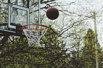 basketbalový míč, prsten, během dne, zelená, stromy, rostlina, Příroda, venkovní, Basketball, míč, hrát si