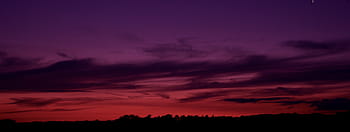 silhouette, trees, orange, sky, sunset, clouds, nature, dark, purple, night, dramatic sky