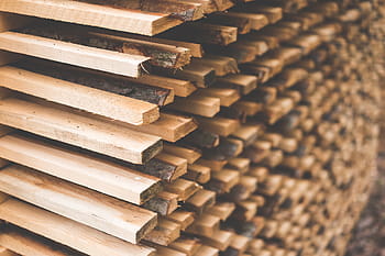 recientemente, aire de madera, corte, madera, apilado, aire, secado, tala, bosque, silvicultura, naturaleza
