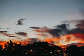floresta, Pôr do sol, natureza, céu, árvores, atmosférica, nuvens, nuvem - céu, crepúsculo, laranja Cor, ao ar livre
