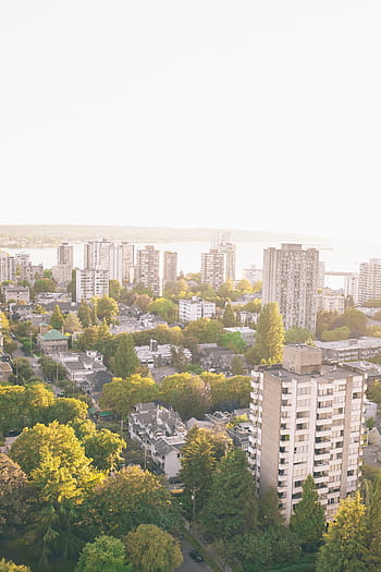 edifici della città, alberi, giorno, aereo, fotografia, città, tempo, urbano, istituzione, costruzione, struttura