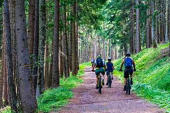 les, lesní cesta, horské kolo, e-bike, e-mtb, pedelec, Příroda, krajina, cyklistika, jízda na kole, jízda na horském kole