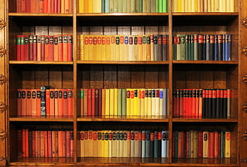 book shelf, filled, books, bookshelf, library, literature, shelf, bookcase