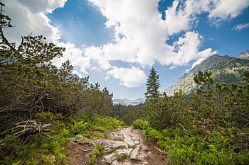tinggi, tatras, Kecil, Path, Tengah, Tatras Tinggi, Slovakia, awan, hutan, pegunungan, alam
