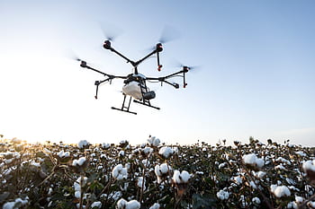 dji, dji zemědělství, agras, zemědělství, trubec, uav, mg-lp, zemědělské půdy, drone na ochranu rostlin, ochrany rostlin, extrémně létat