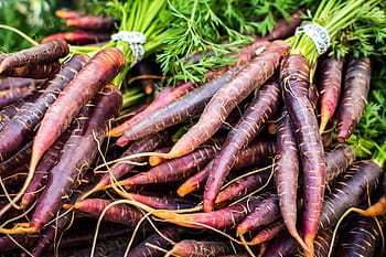 rot, Möhren, Bauernmarkt, Nahansicht, bunt, Lebensmittel, Frische, Rohkost, Markt, Natur, gesundes Essen