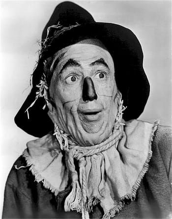muž, nošení, klaun kostým ve stupních šedi fotografie, čaroděj ze země Oz, ray bolger, herec, strašák, charakter, žluté cihlové silnici, film, kino