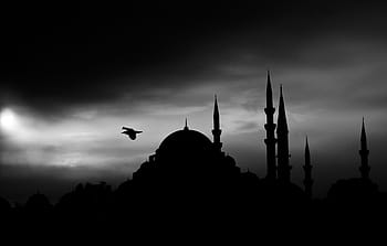 silhouette, bird, dome building, cami, minaret, istanbul, islam, muslim, religion, there is, architecture