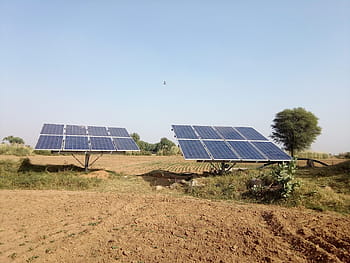 16, solar, panels, field, daytime, Solar Panels, Solar Power, Energy, alternative, conservation, ecology