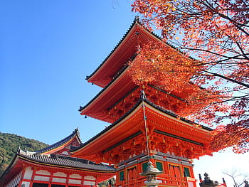 strukturální, fotografování, Červené, pagoda, modrý, nebe, podzimní listí, lov, kyoto, podzimní listí lov, podzim