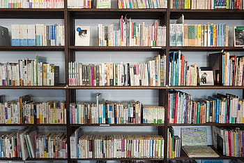 roztříděný, kniha šarže, hnědý, dřevěný, kniha police, knih, regál, knihovna, literatura, police, knihkupectví