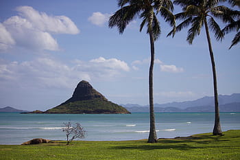 καφέ βουνό, Χαβάη, oahu, παραλία, ωκεανός, θάλασσα, ΕΞΩΤΕΡΙΚΟΥ ΧΩΡΟΥ, τροπικός, νερό, ουρανός, νησί
