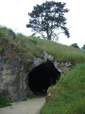 madár tűzhely barlang, lonetal, karszt-barlang, bemenet, Stetten, Niederstotzingen, sváb alb, barlang, barlang bejárata, hegy