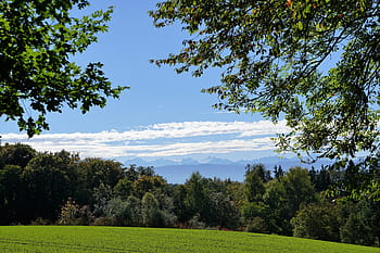 landscape photography, mountain, meadow, zollikon, zurich, canton, switzerland, nature, swiss, tree, autumn