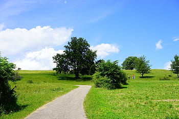 empty, gray, road, grass field, away, swabian alb, rand ecker maar, alb, landscape, idyllic, alb eaves